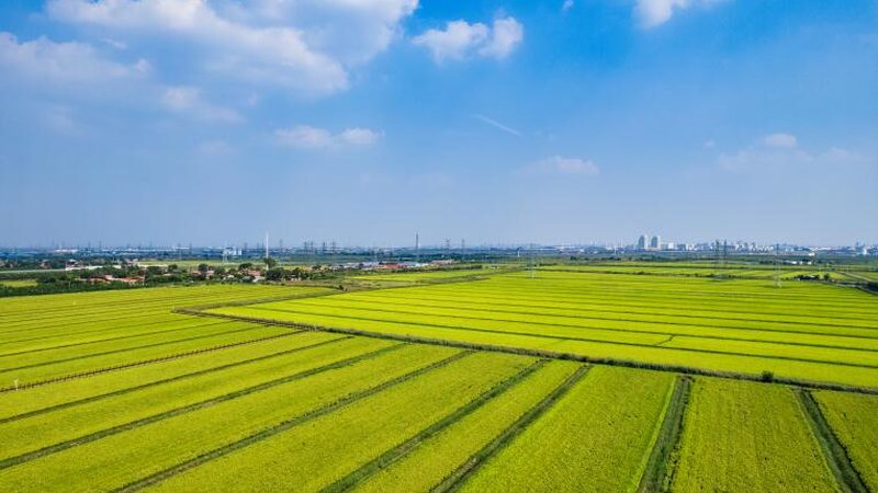 合作社经营范围核定：关键步骤与合规要点