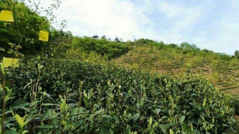 农产品批发展会场地选择的四大关键要素**
