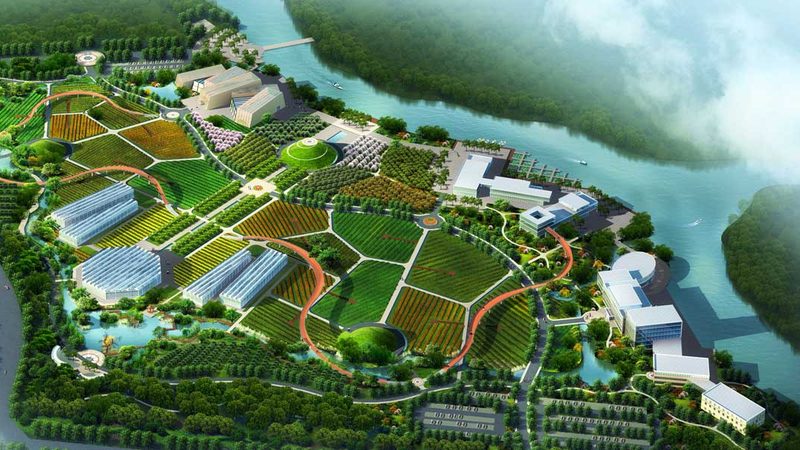 合作社注销公章销毁：流程、费用与注意事项