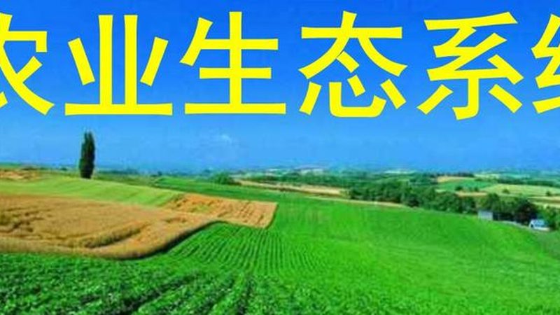 粮食种植深加工：揭秘项目优劣关键因素