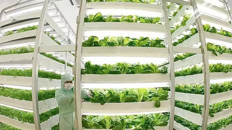 农产品配送系统定价背后的三个行业现实