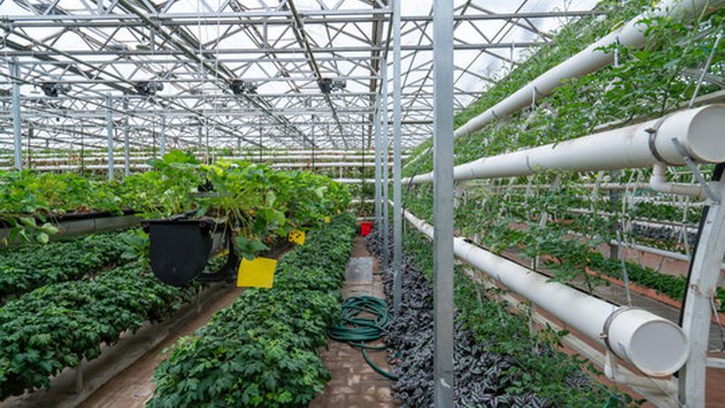 土壤改良工程：农业可持续发展的基石