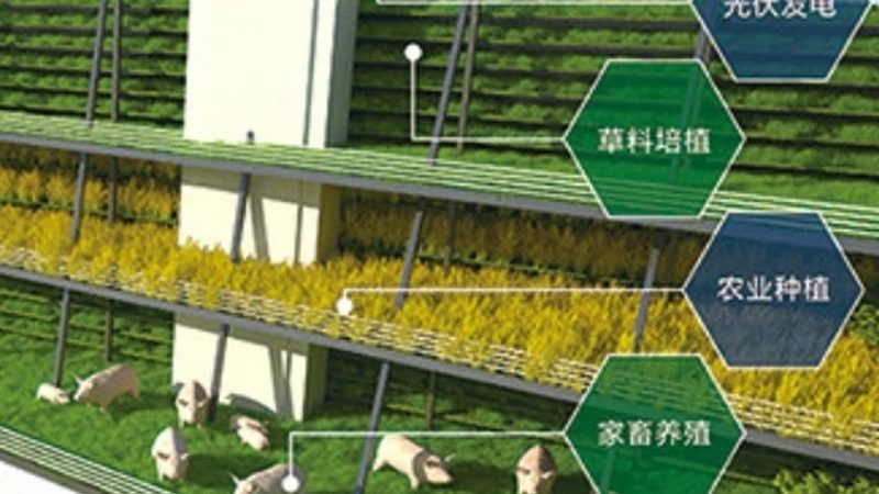 生鲜配送系统价格表背后的定价逻辑