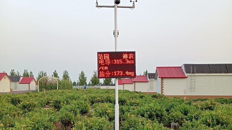 广州市农业有限公司
